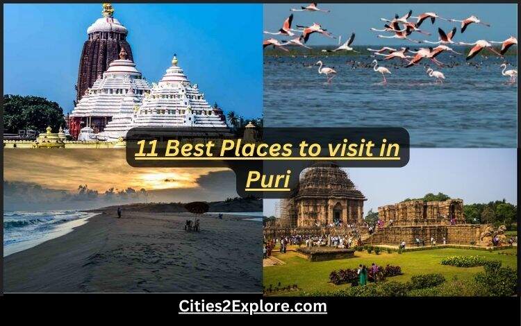 Best Places to visit in Puri - Cities2Explore