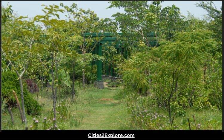 Yamuna Biodiversity Park Herbal Garden