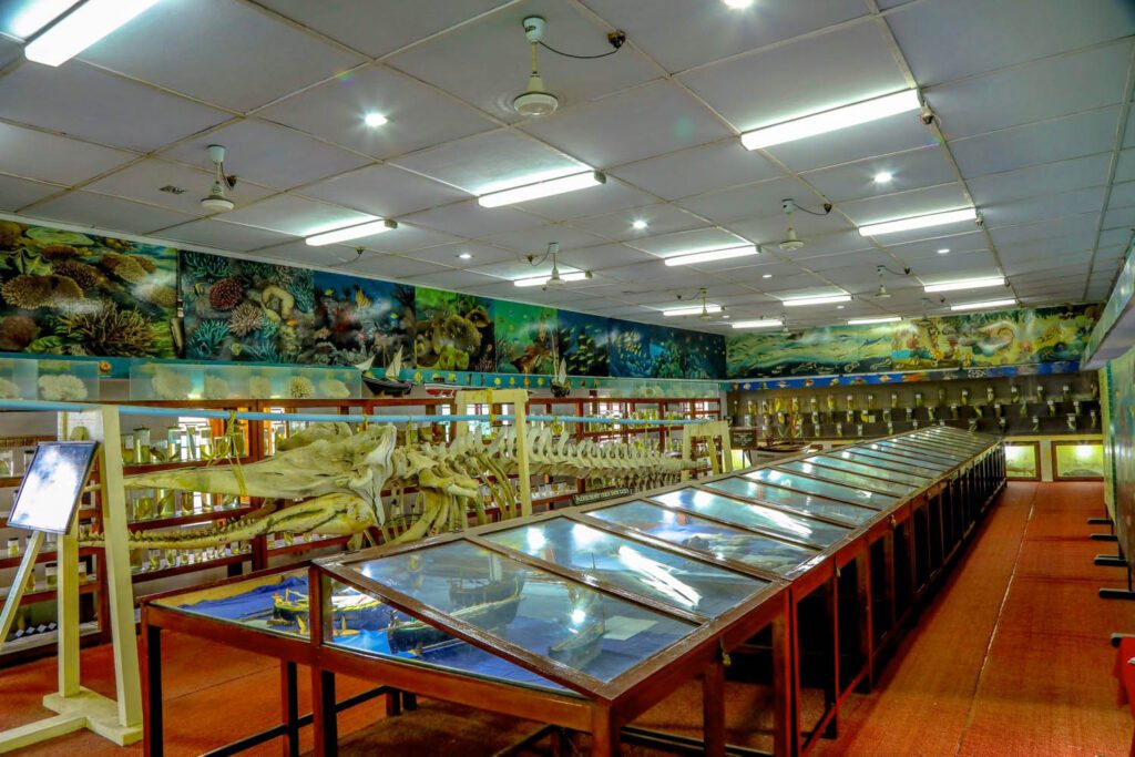 Marine Museum - Best places to visit in Lakshadweep